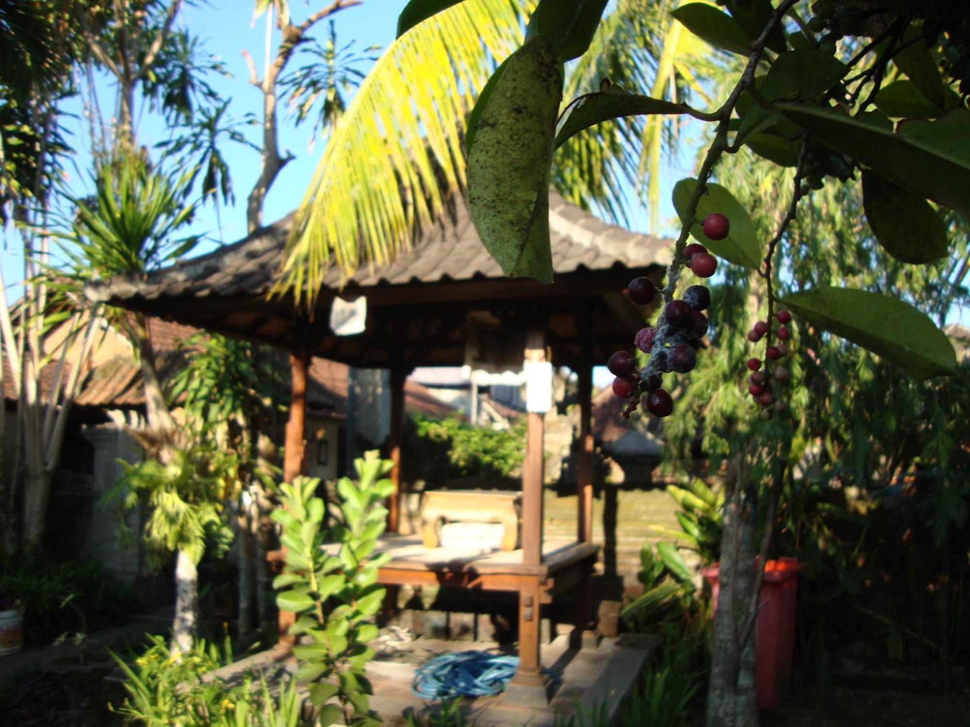 Gusti Home Stay Ubud Стая снимка